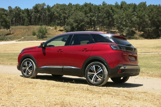 מבחן ג'יפונים